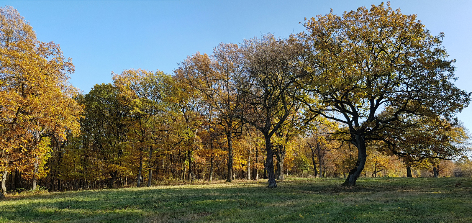 Névtelen panorámafelvétel1