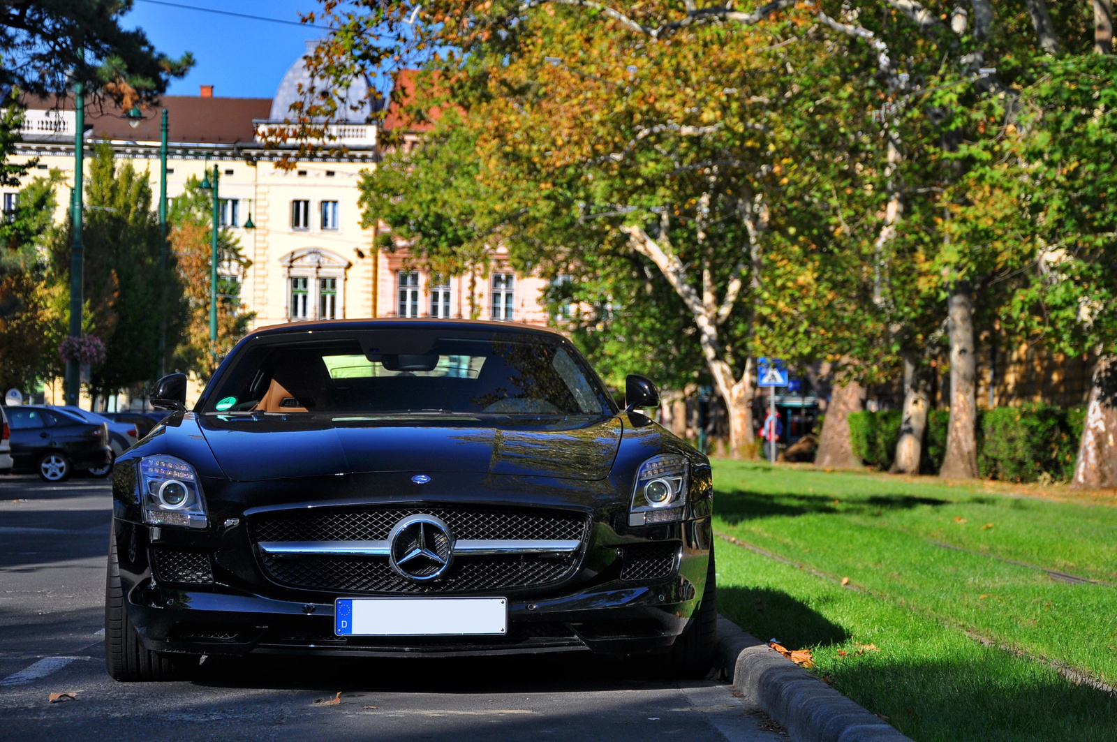 Mercedes SLS AMG Roadster 018