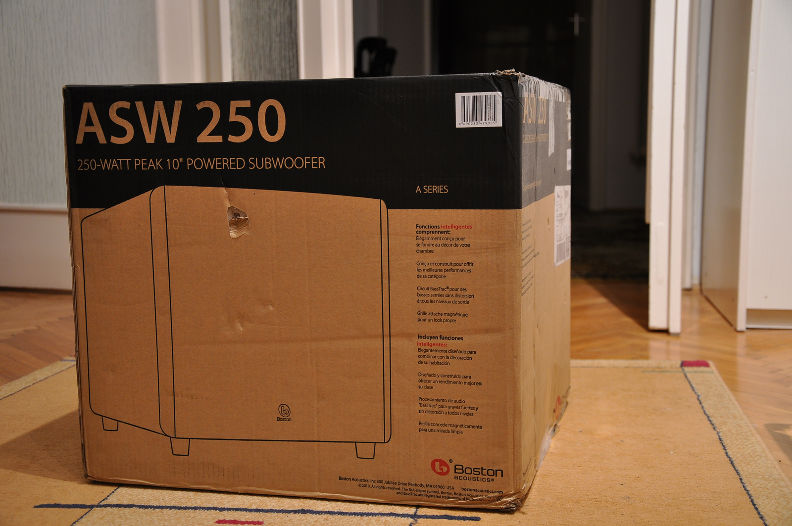 Boston Acoustics ASW-250 001