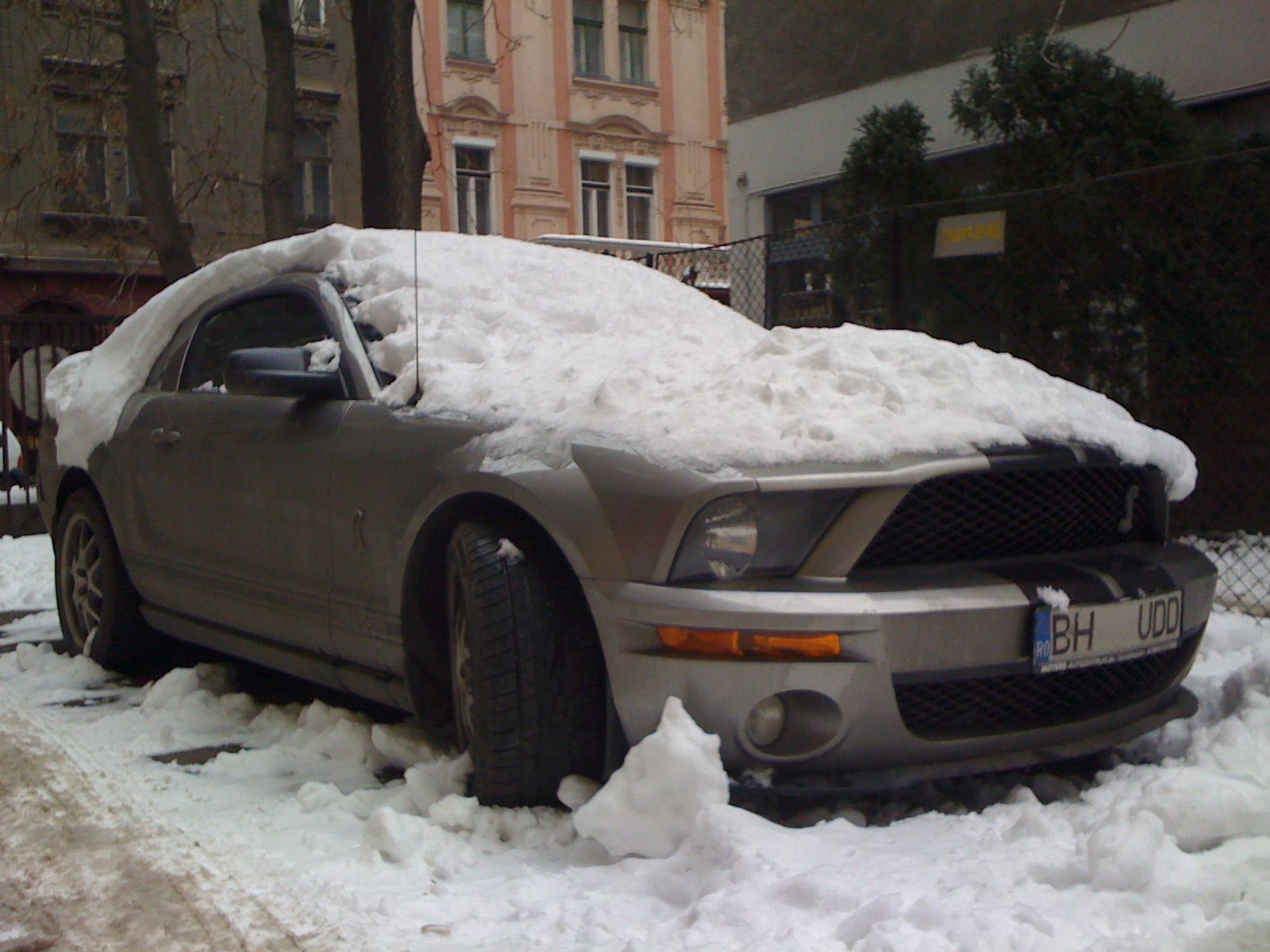 Ford Mustang 078