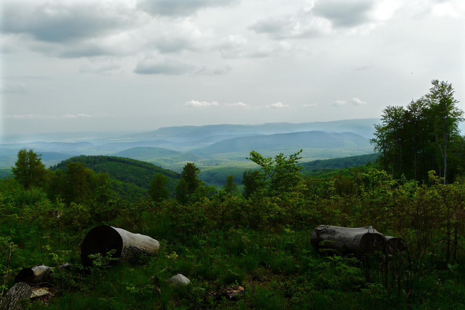 Távolban a Duna-zug-hegység