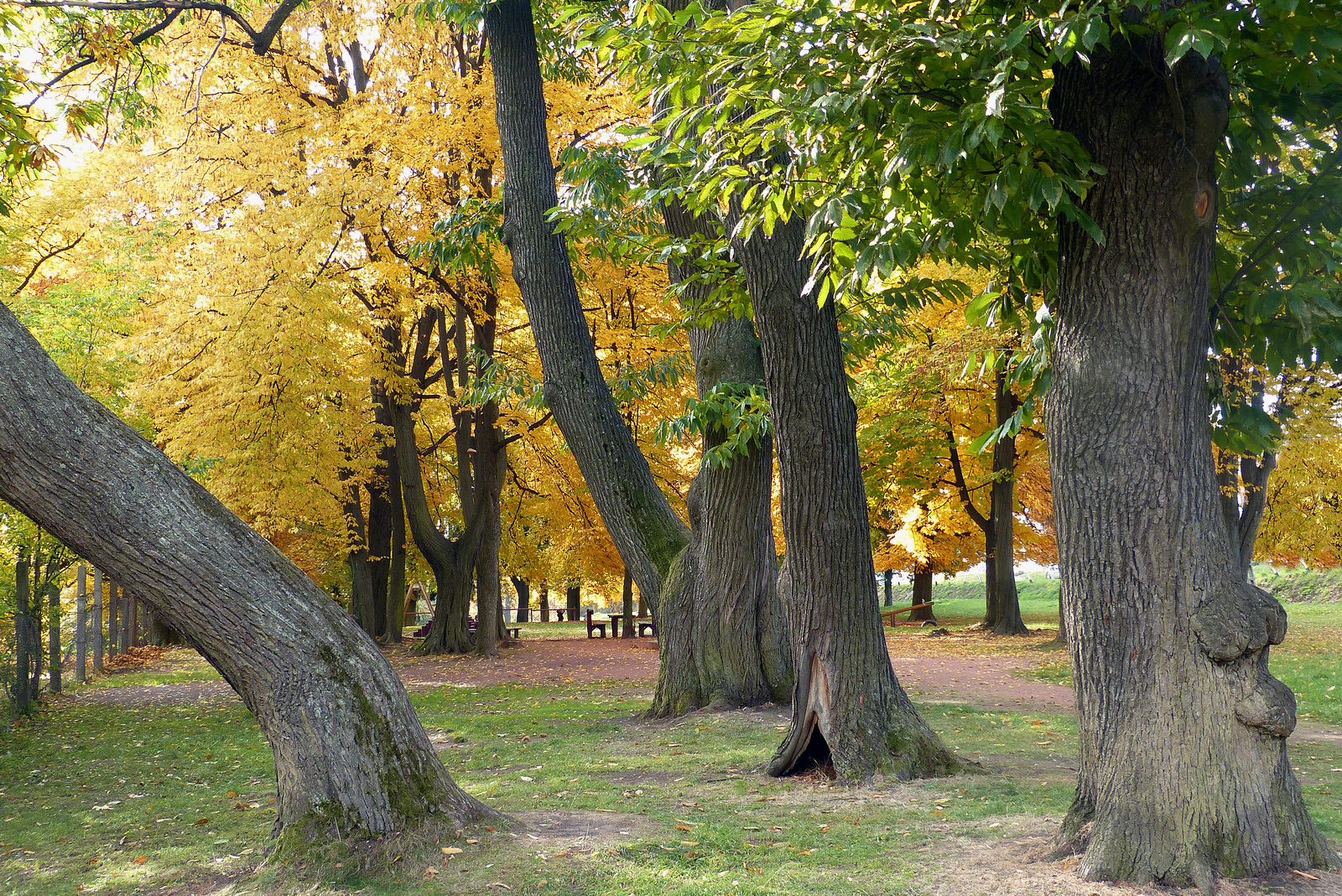 Zenthe Ferenc Emlékpark