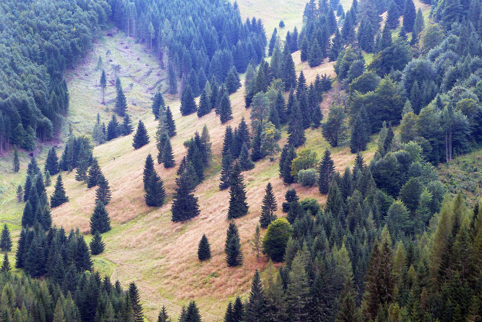 Szlovák-paradicsomi táj