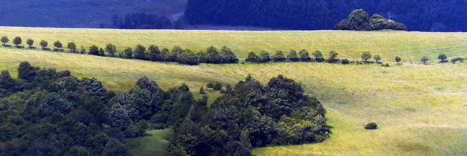 Szlovák tájakon III.