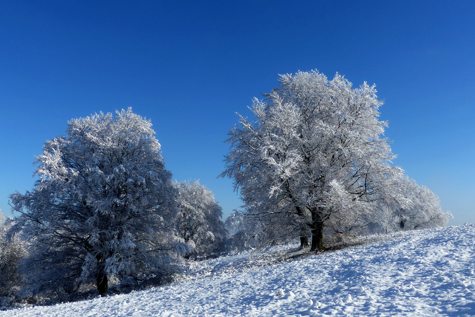 16 Novemberi tél a Medvesen