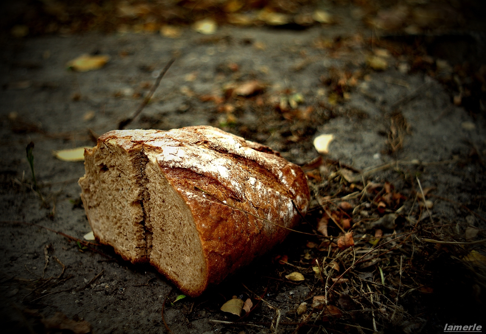 mindennapi kenyerünk