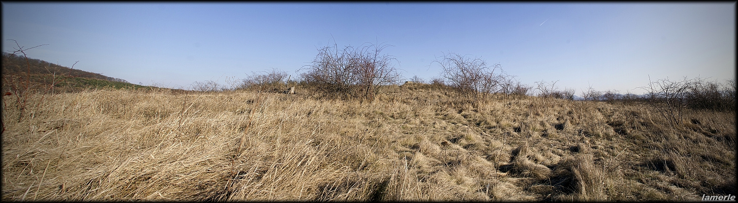 panoráma