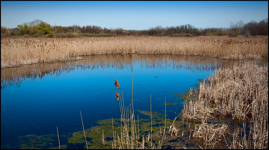 Merzse-mocsár