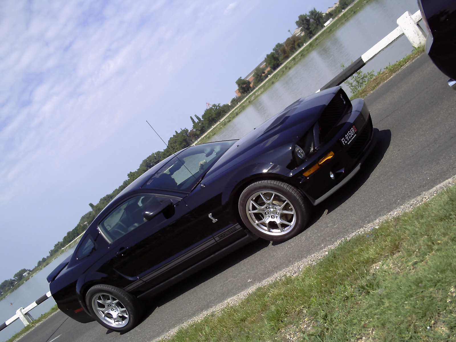 ford mustang gt