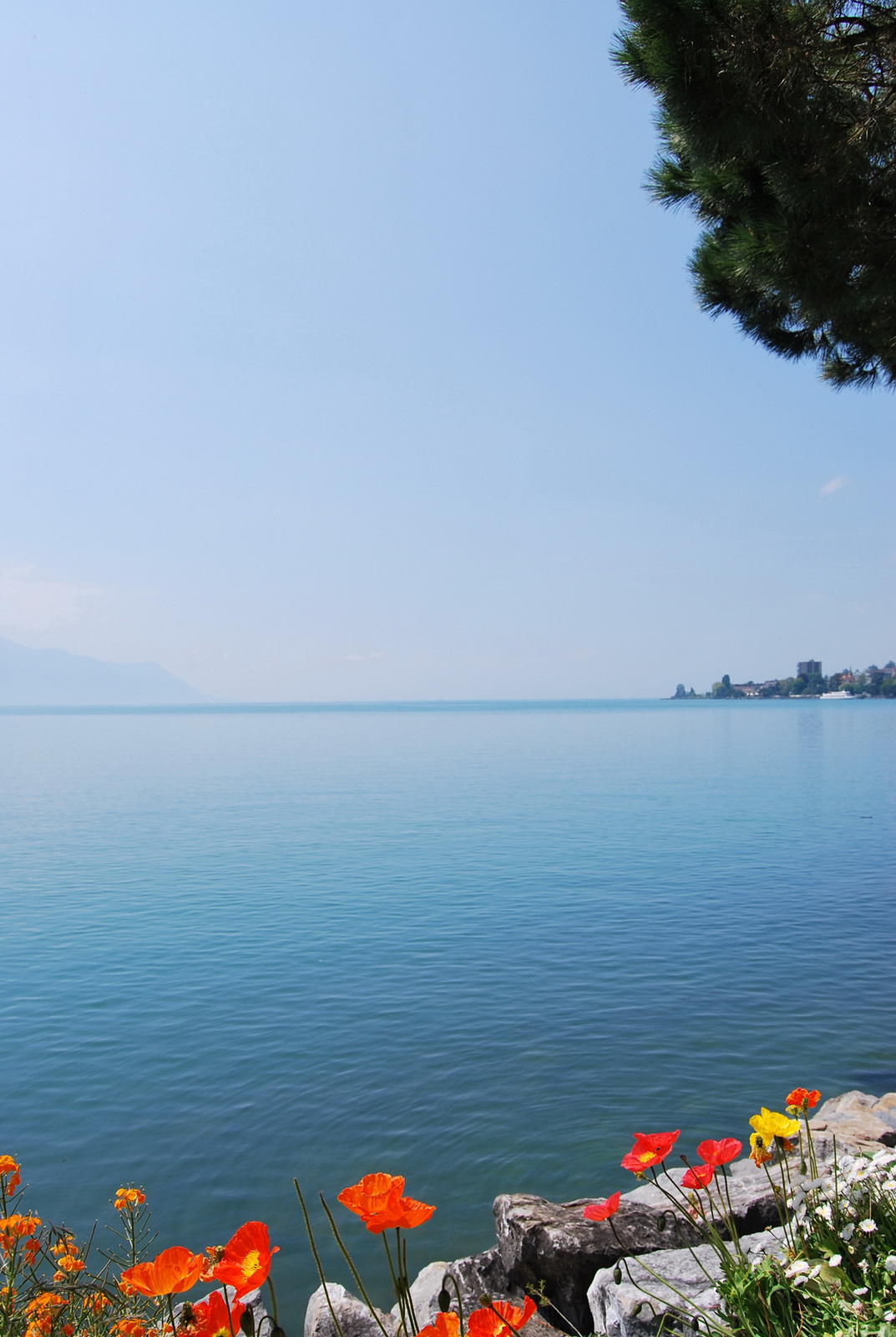Genfi tó (Montreux)