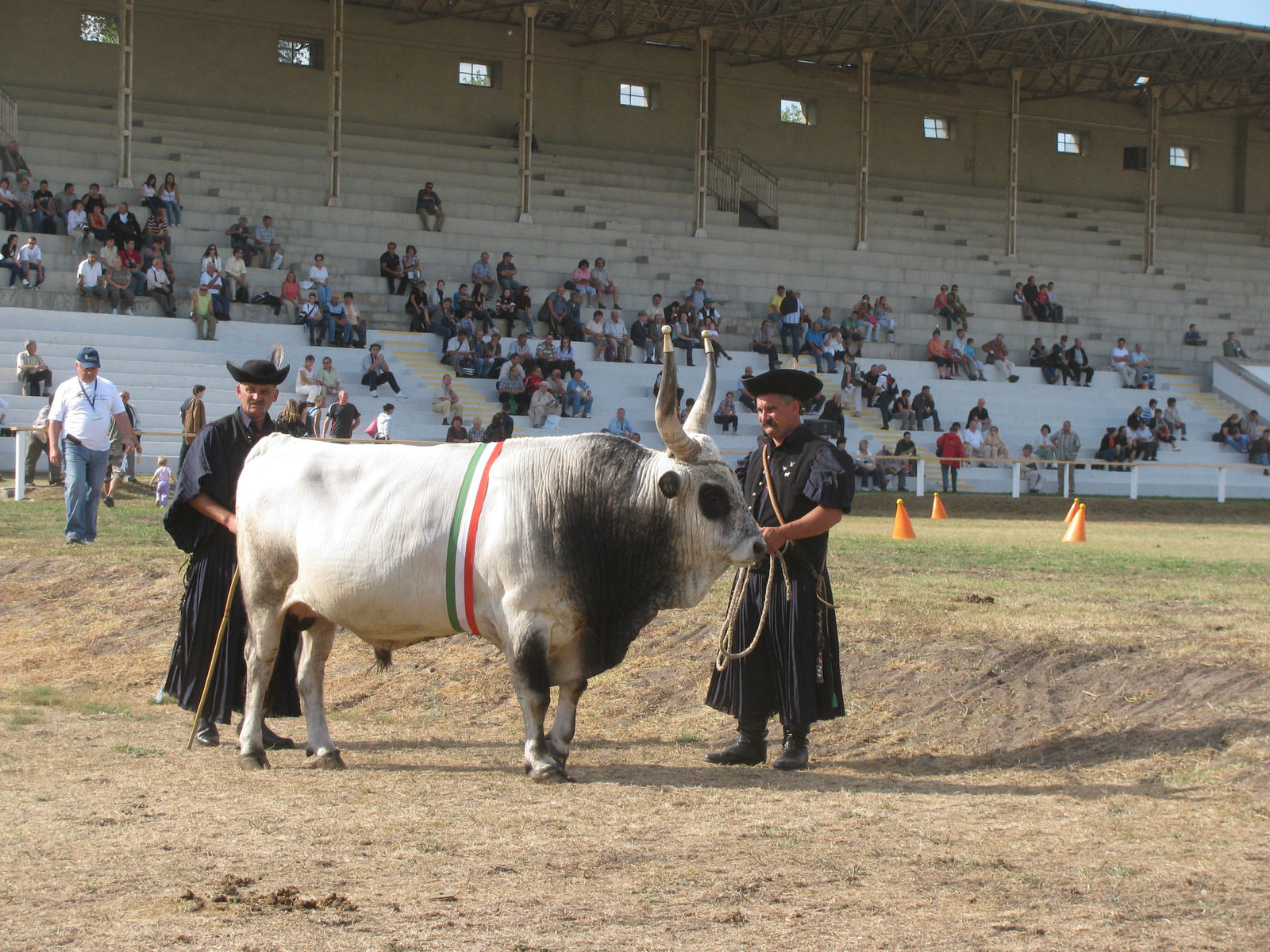 OMÉK2011 383