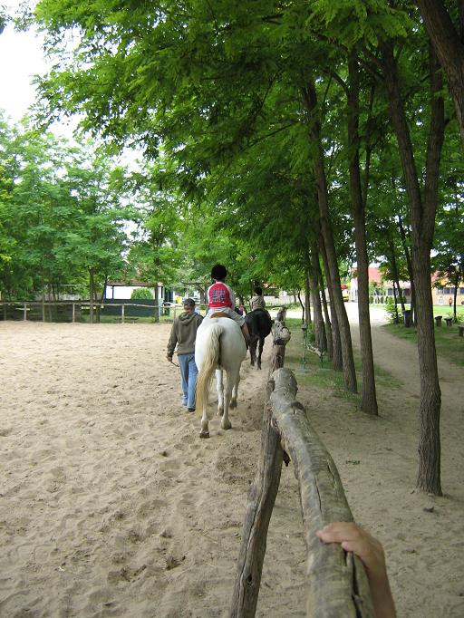 2009.06.04. Erdei óvoda Jánoshalma 054