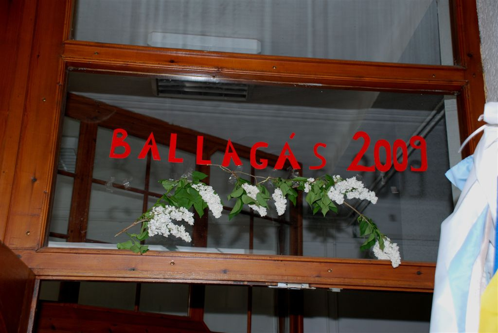 Irinyi ballagás 2009  001