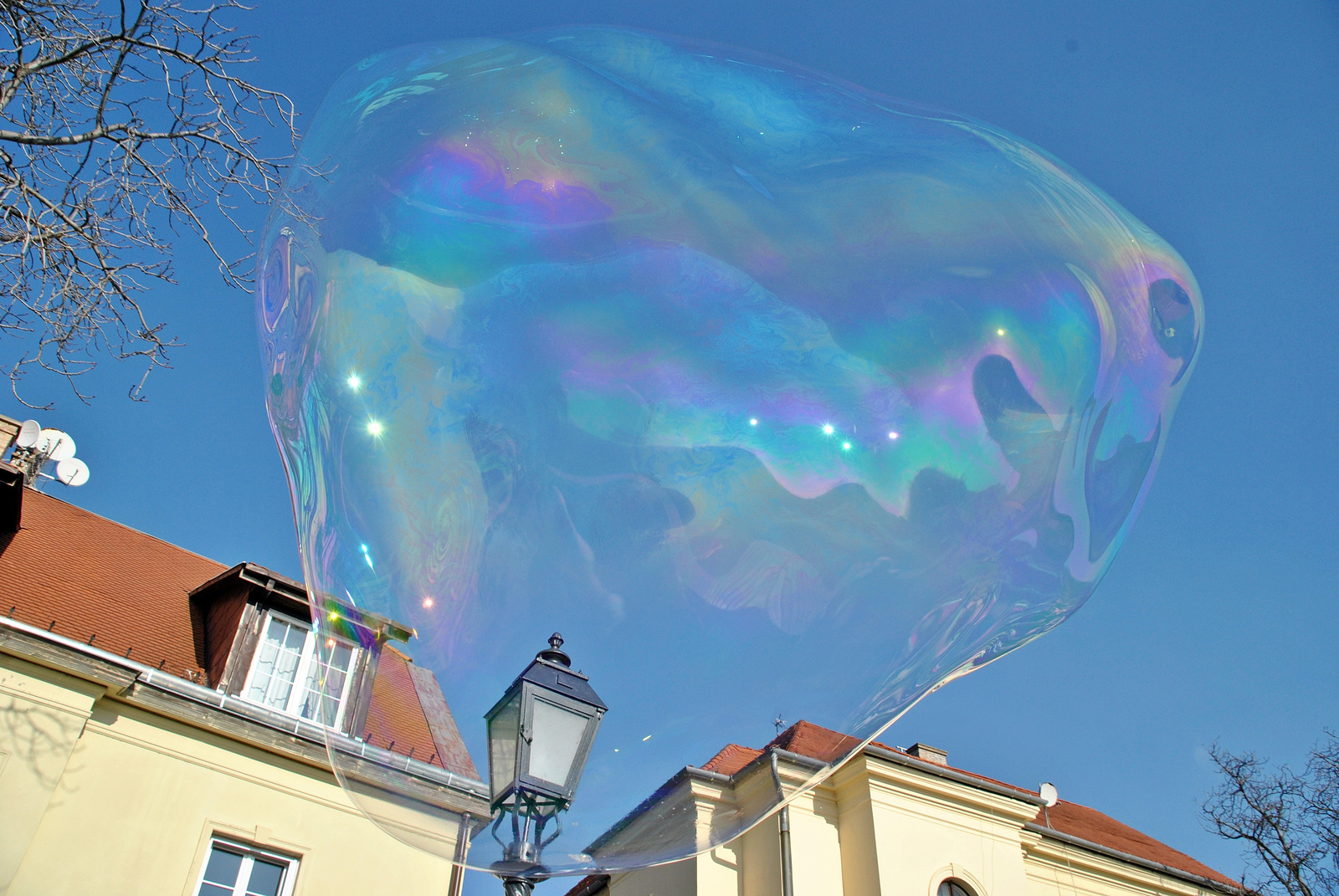 Lámpabúra buborék