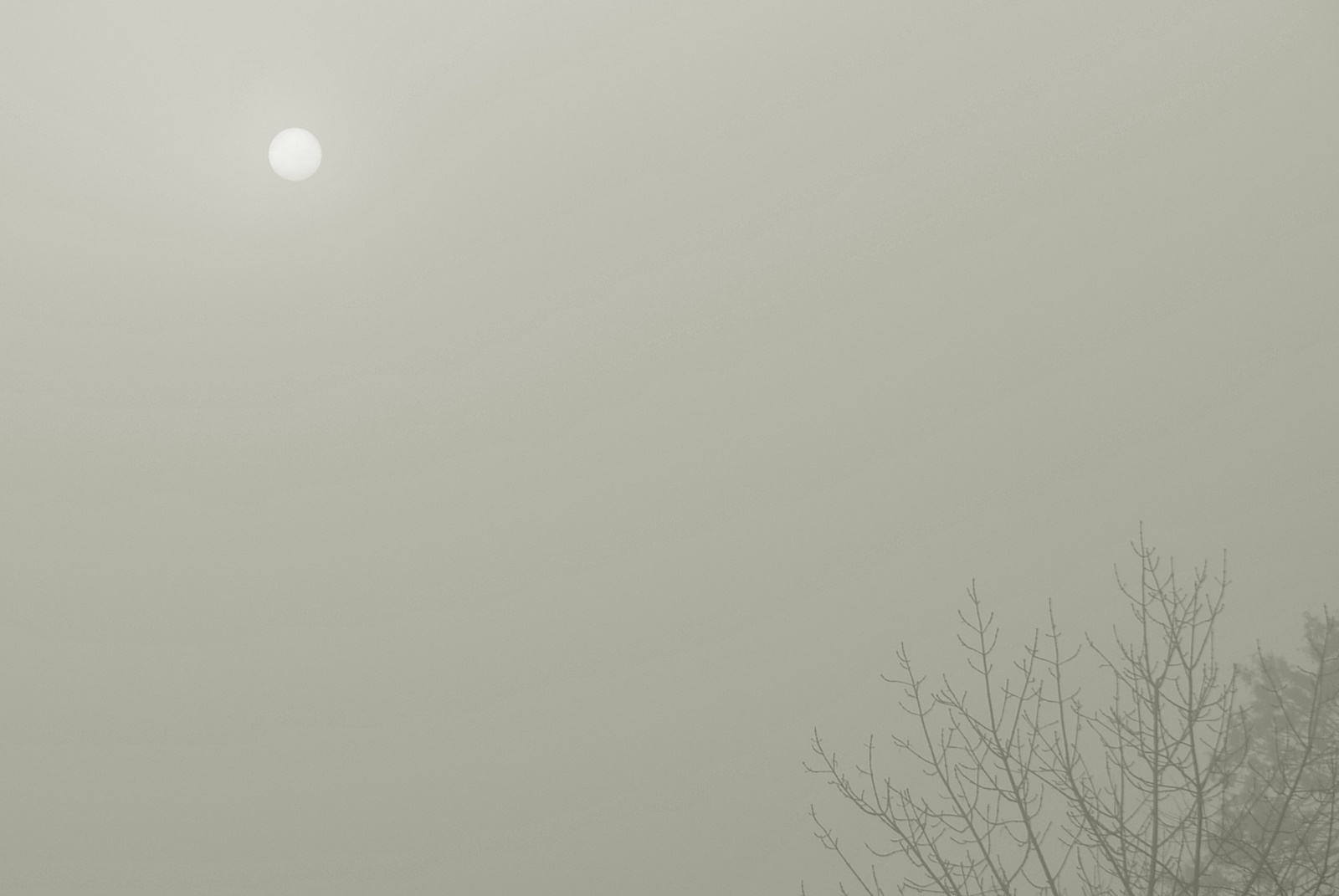 Napfényes köd