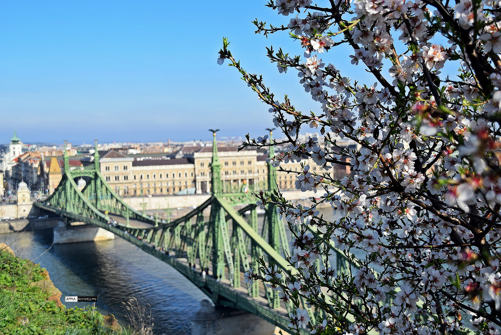 Tavaszi Szabadság híd...