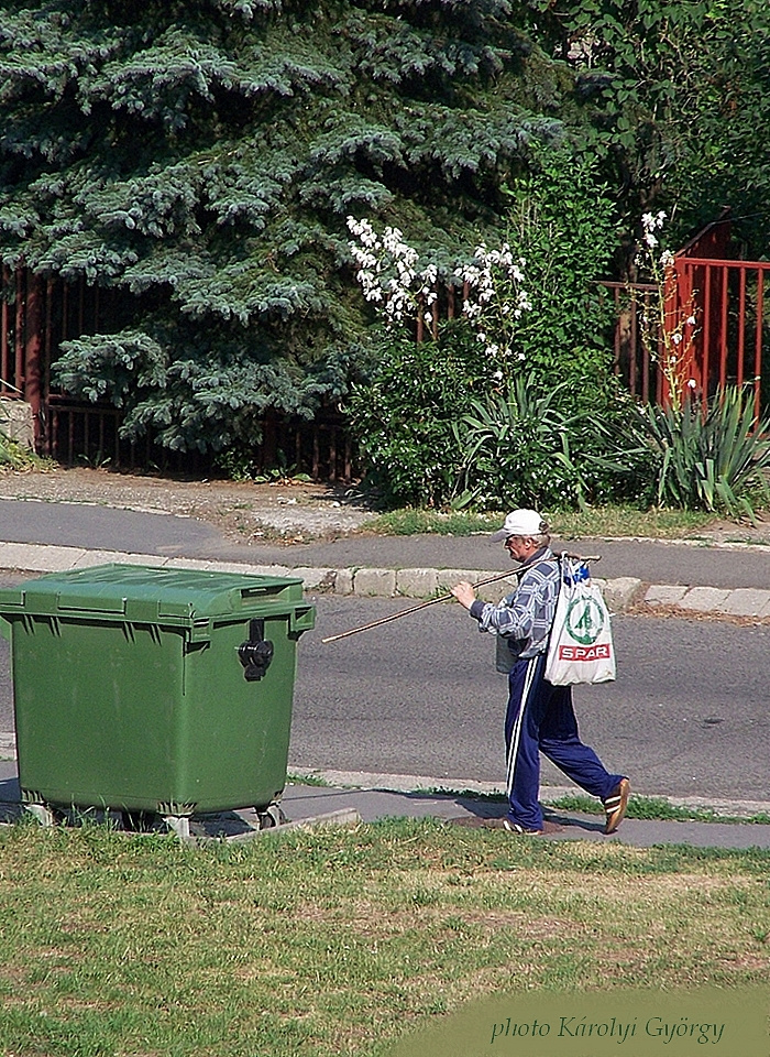 életképek, a böngésző ember