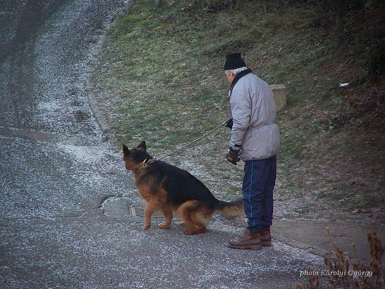 állatok, előbb szét kell nézni