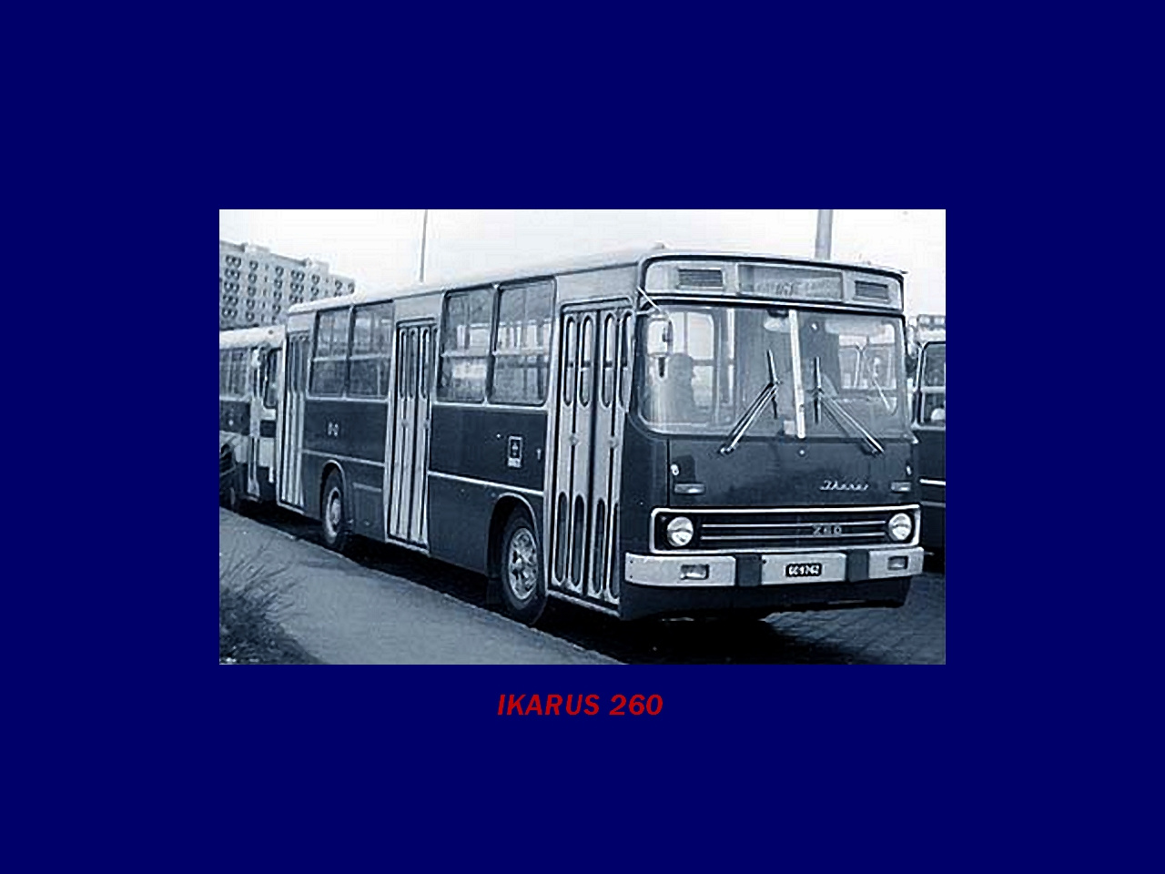 Magyar Busz, IKARUS 260