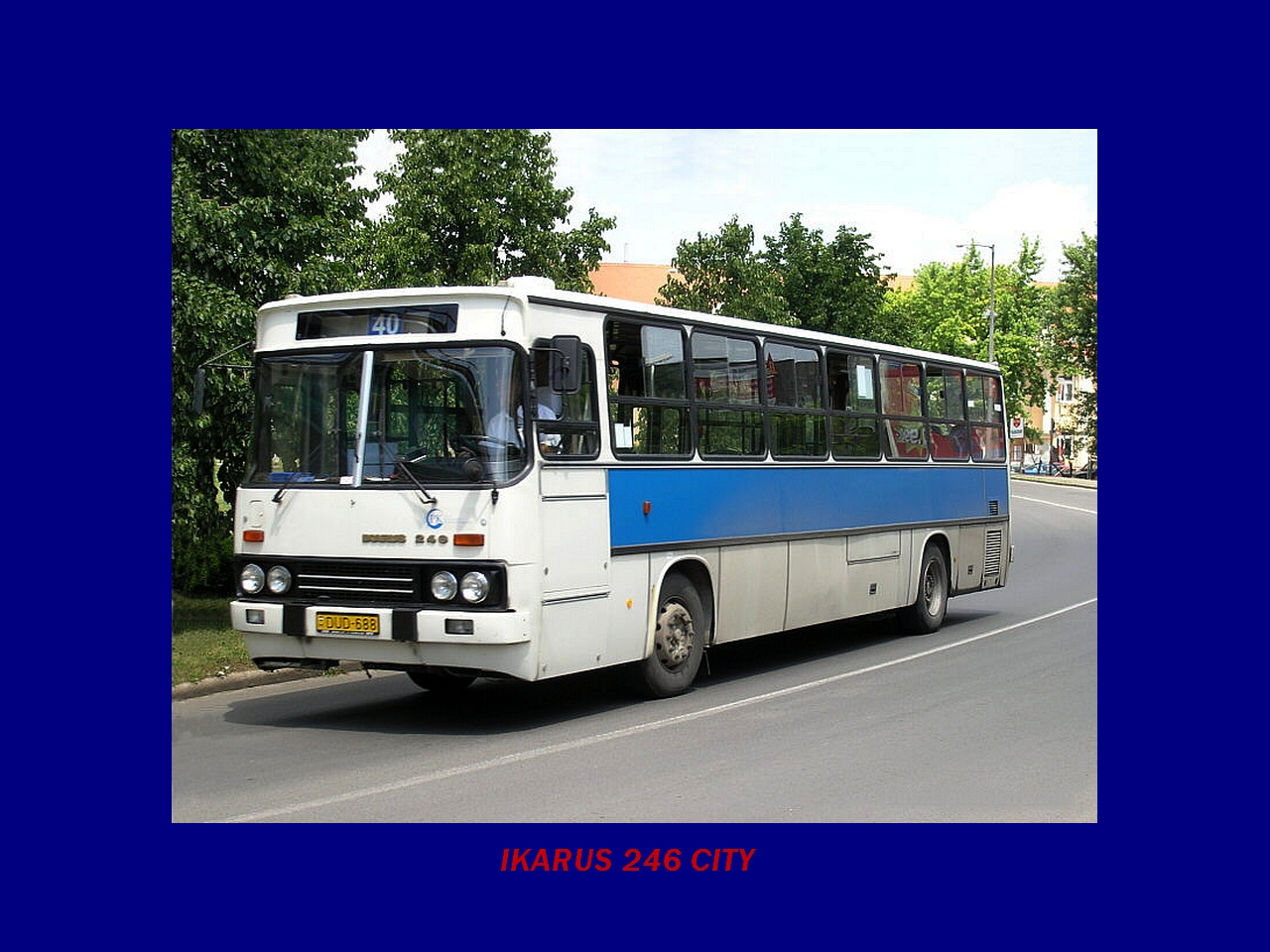 Magyar Busz, IKARUS 246 City