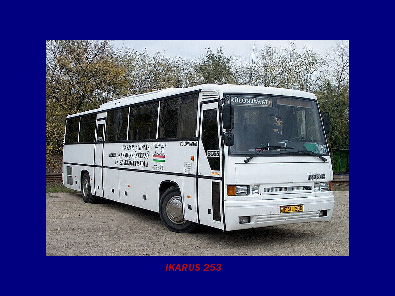 Magyar Busz, IKARUS 253