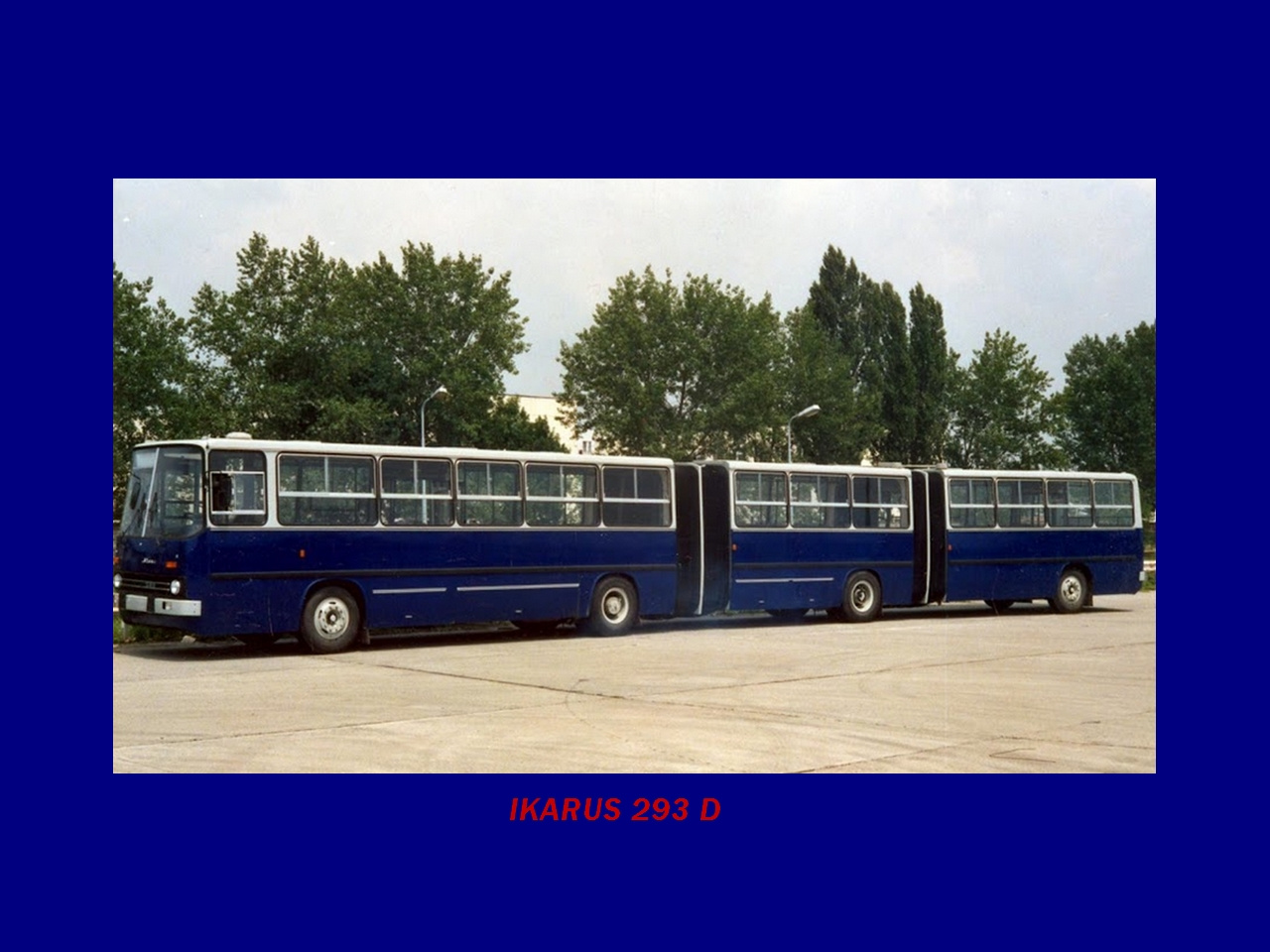 Magyar Busz, IKARUS 293 Dupla csuklós