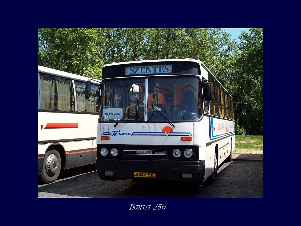 Magyar Busz, Ikarus 256