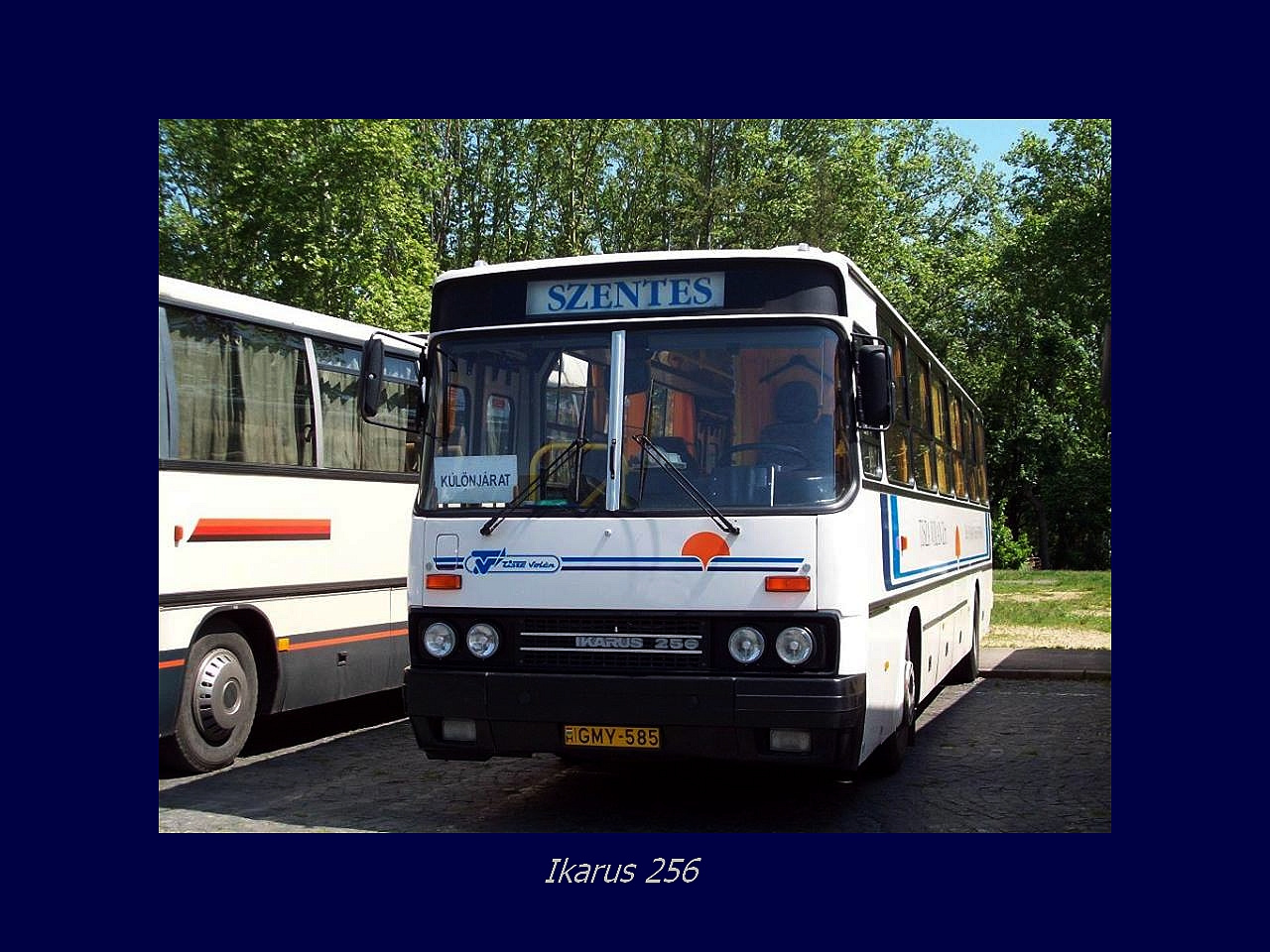 Magyar autóbusz, Ikarus 256