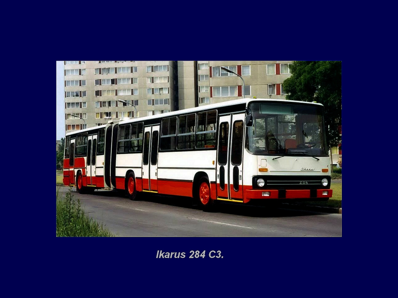 Magyar Busz, Ikarus 284 C3