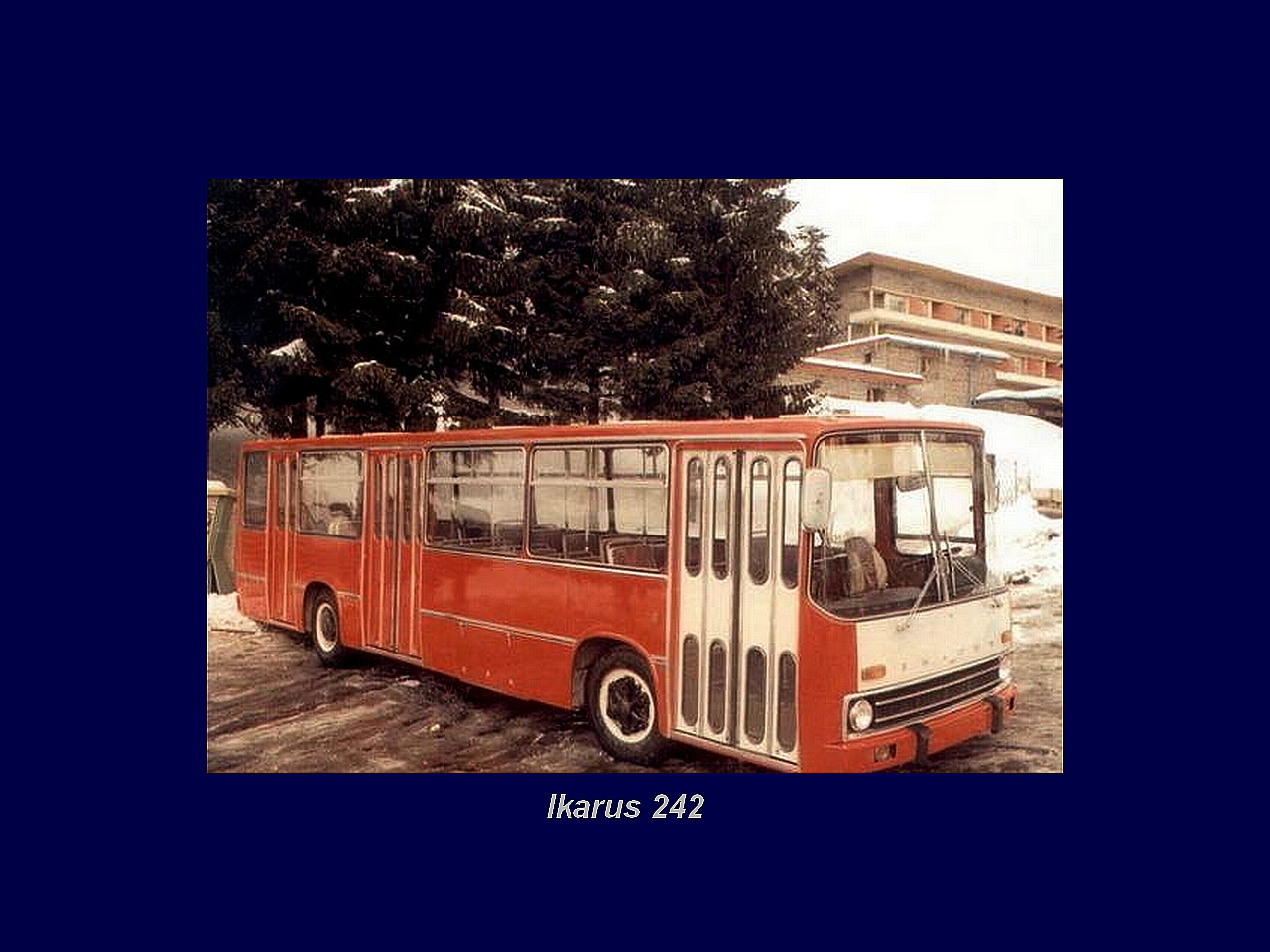 Magyar Busz, Ikarus 242