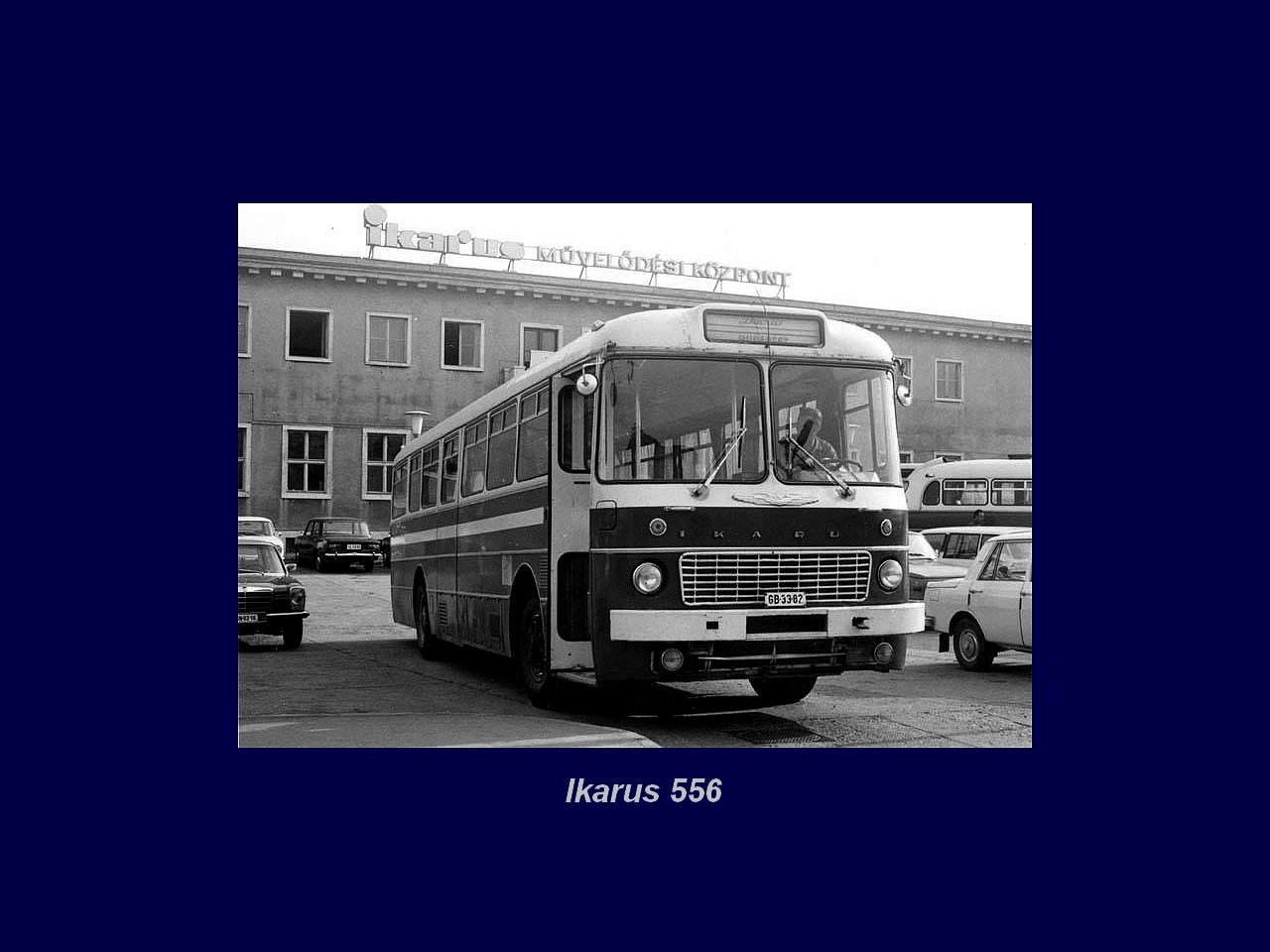 Magyar Busz, Ikarus 556