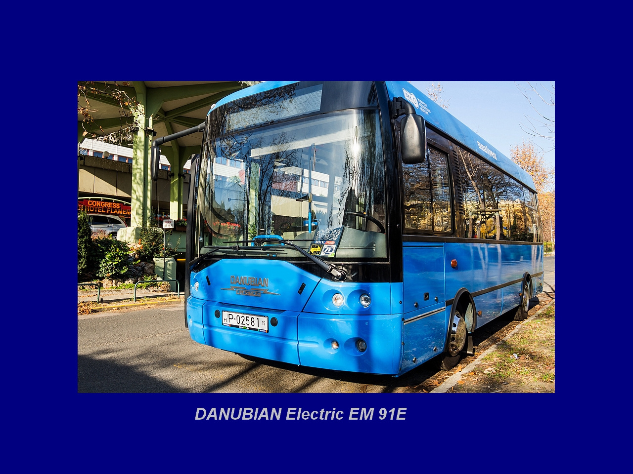 Magyar Busz, DANUBIAN Electric EM 91E
