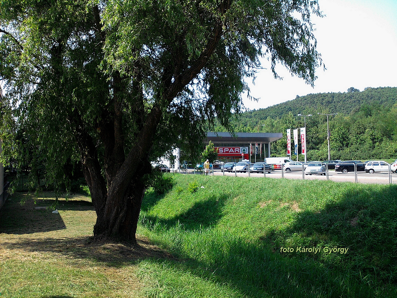 Besztercei képek, a SPÁR-unk