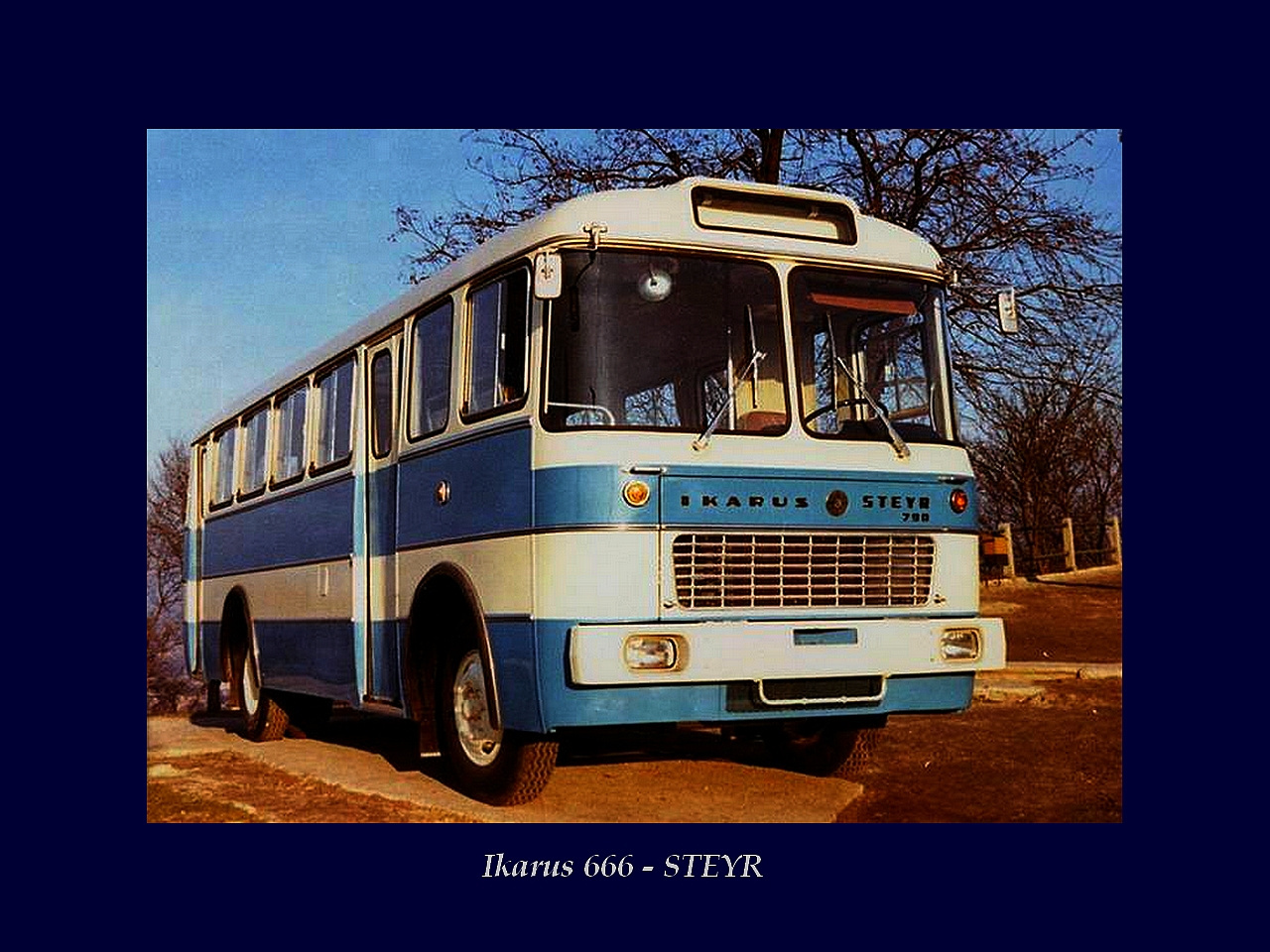 Magyar Busz, Ikarus 666 - STEYR