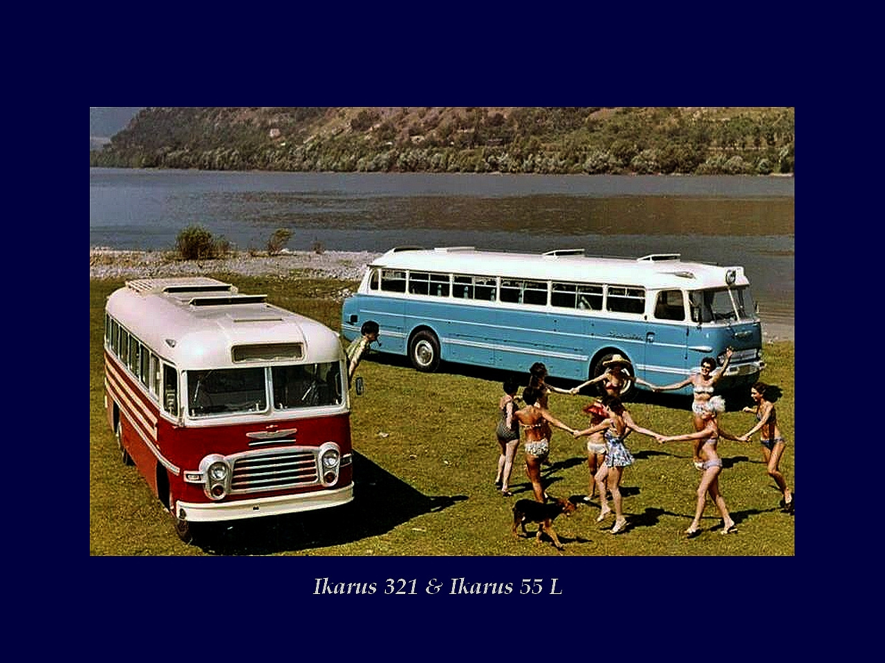 Magyar Busz, Ikarus 321 &amp; Ikarus 55
