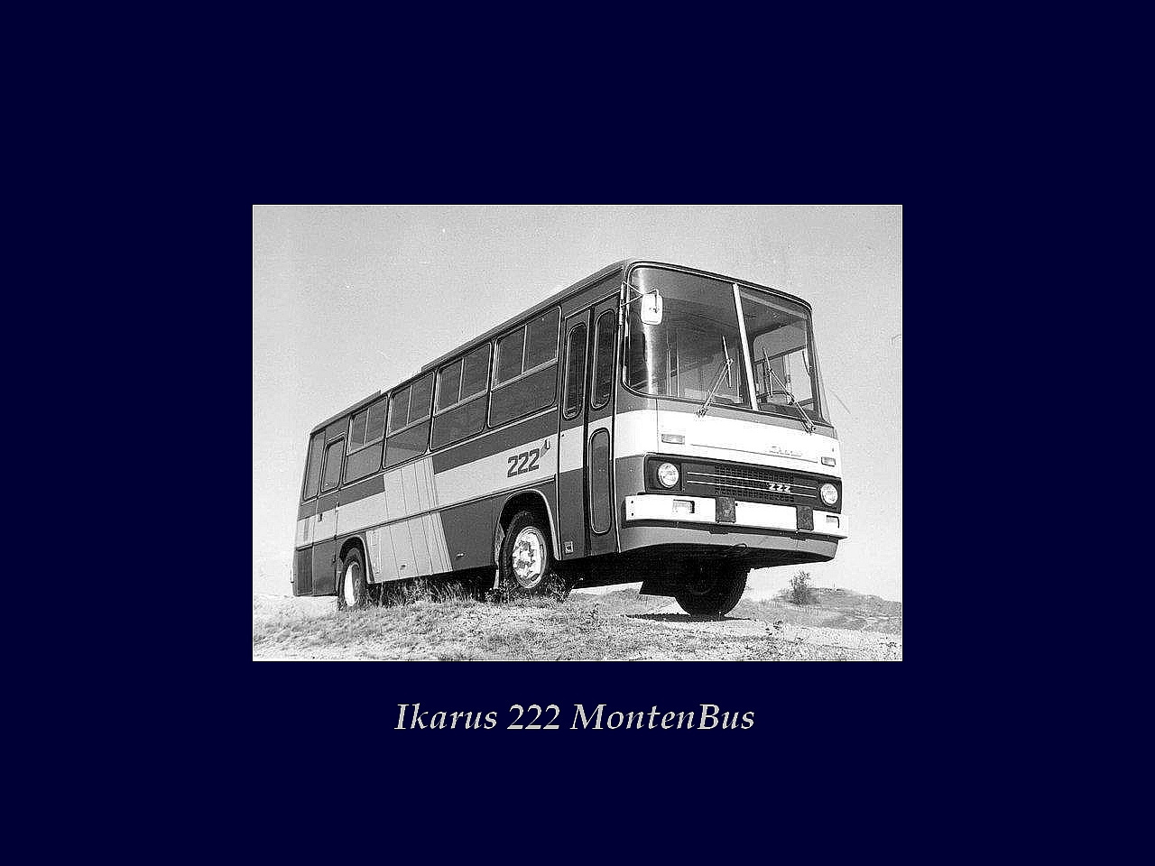 Magyar Busz, Ikarus 222 MONTEN