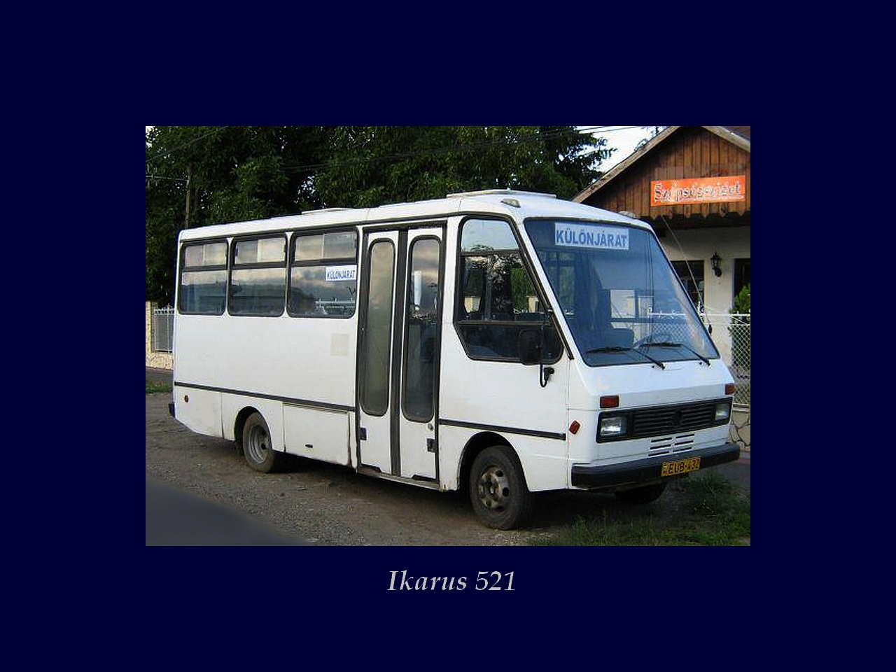 Magyar Busz, Ikarus 521