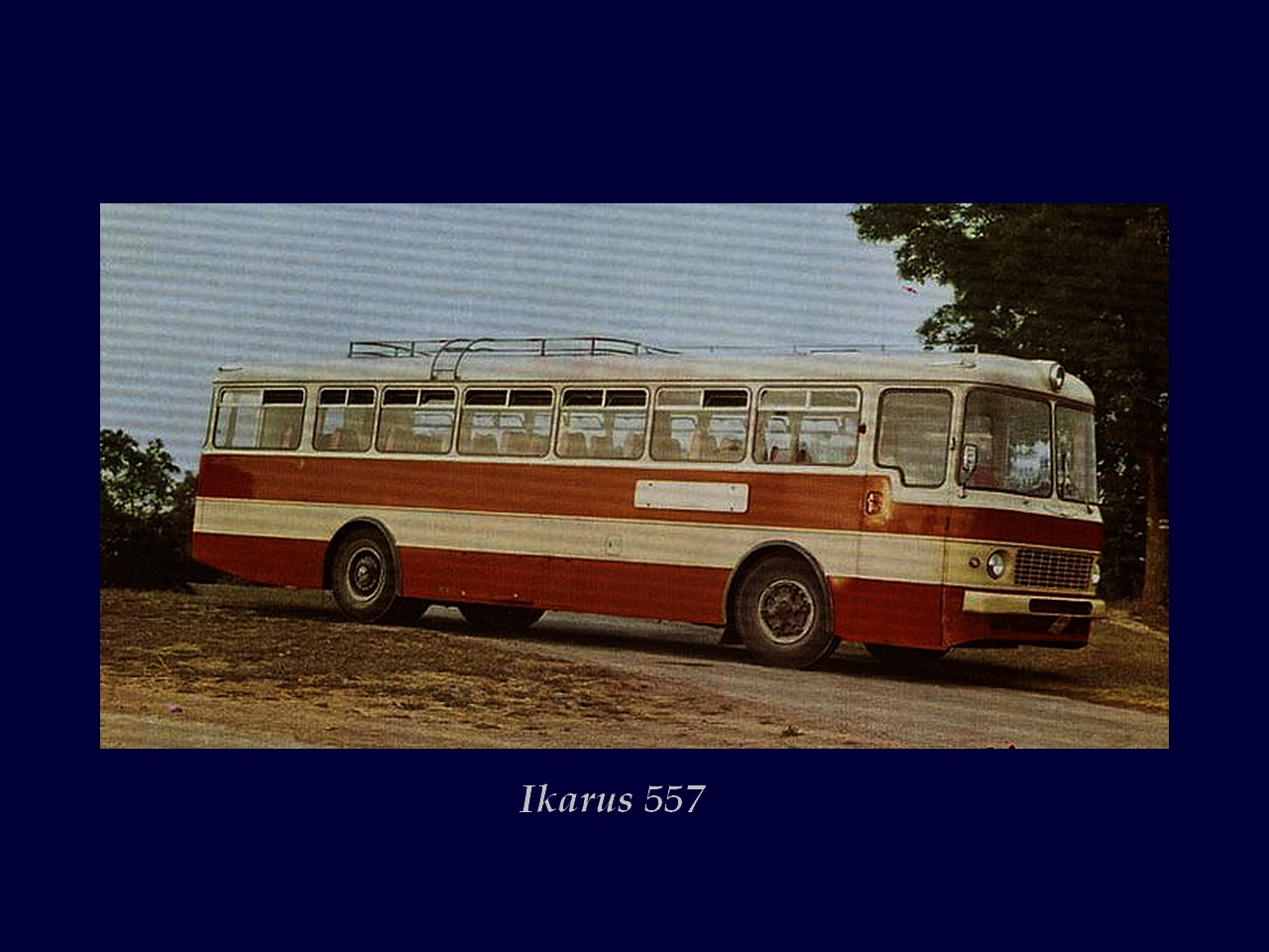 Magyar Busz, Ikarus 557