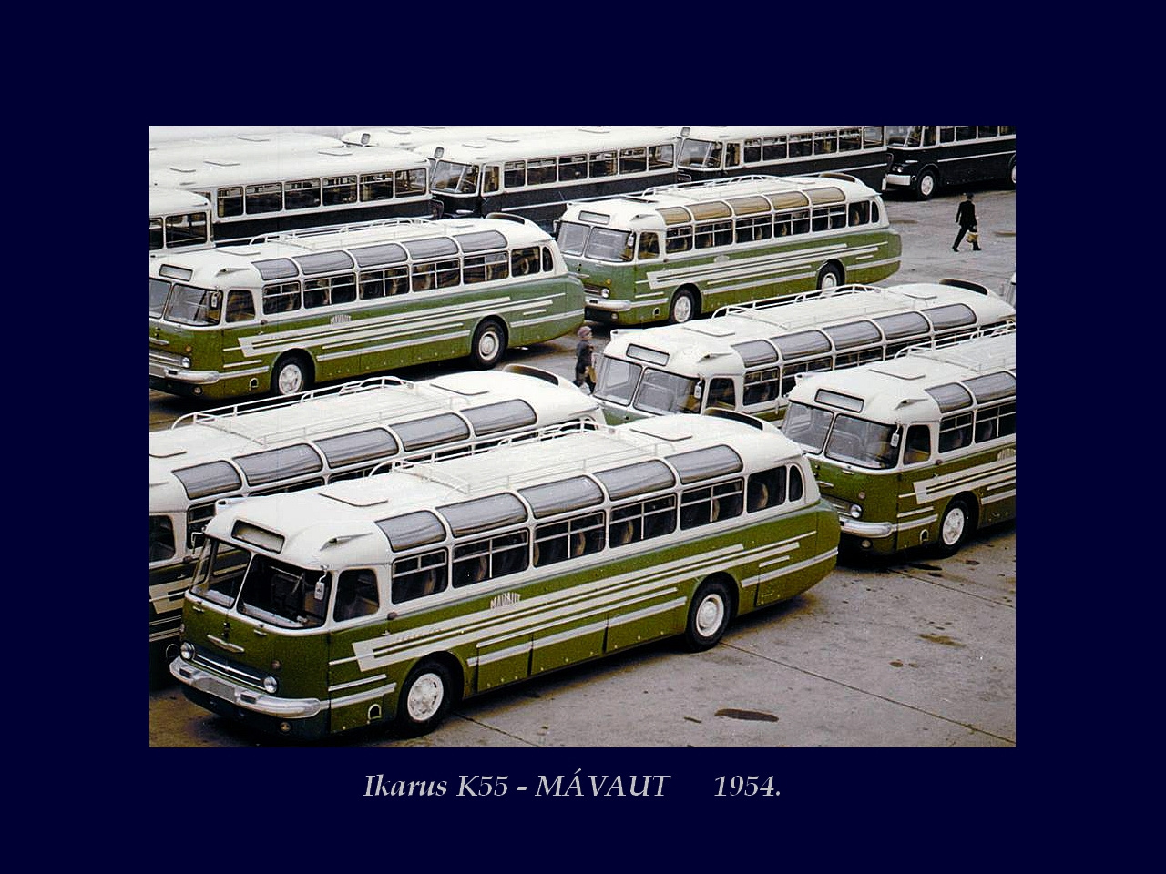 Magyar Busz, Ikarus K55 - MÁVAUT 1954.