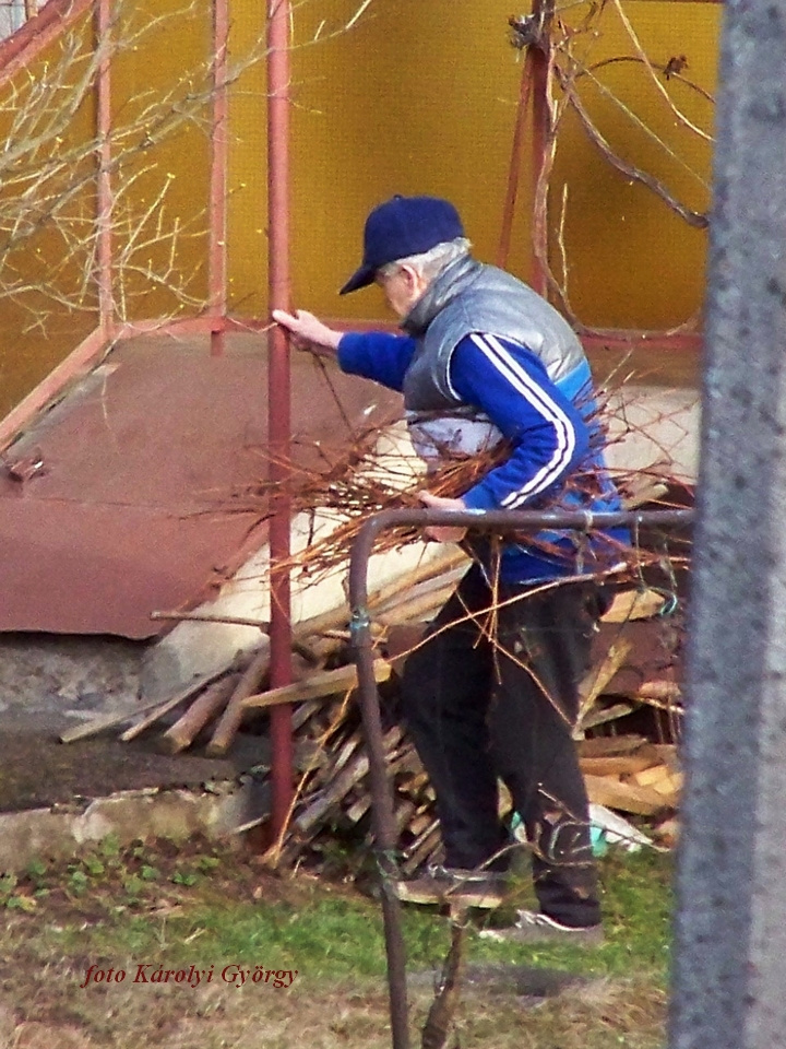 életképek, Pista bácsi tavasszal