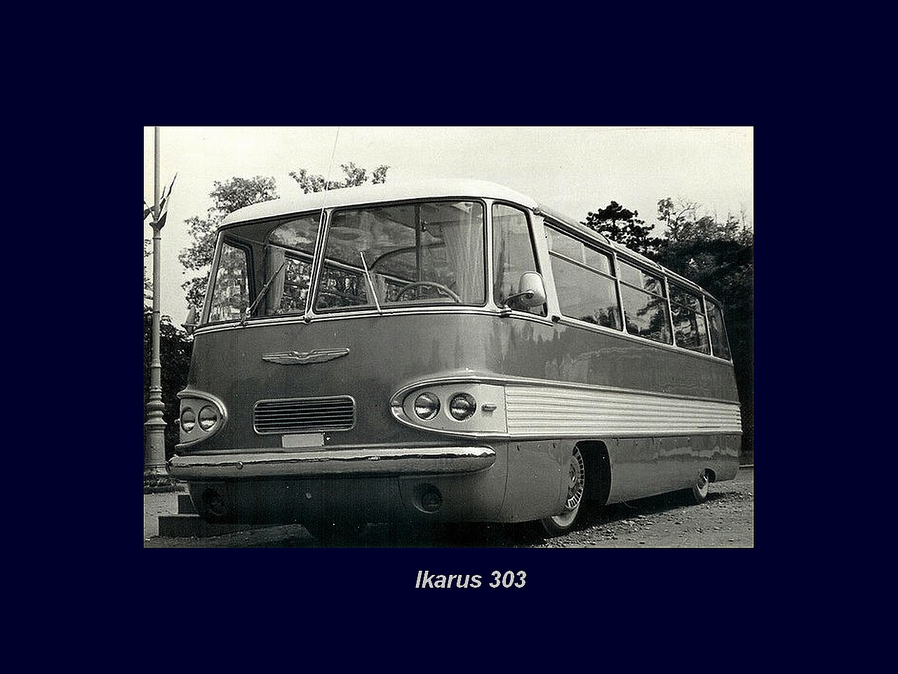 Magyar Busz, Ikarus 303