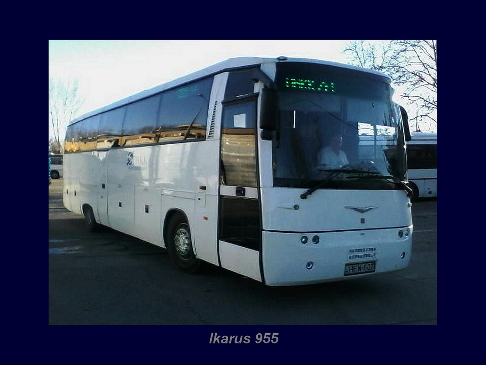 Magyar Busz, Ikarus 955