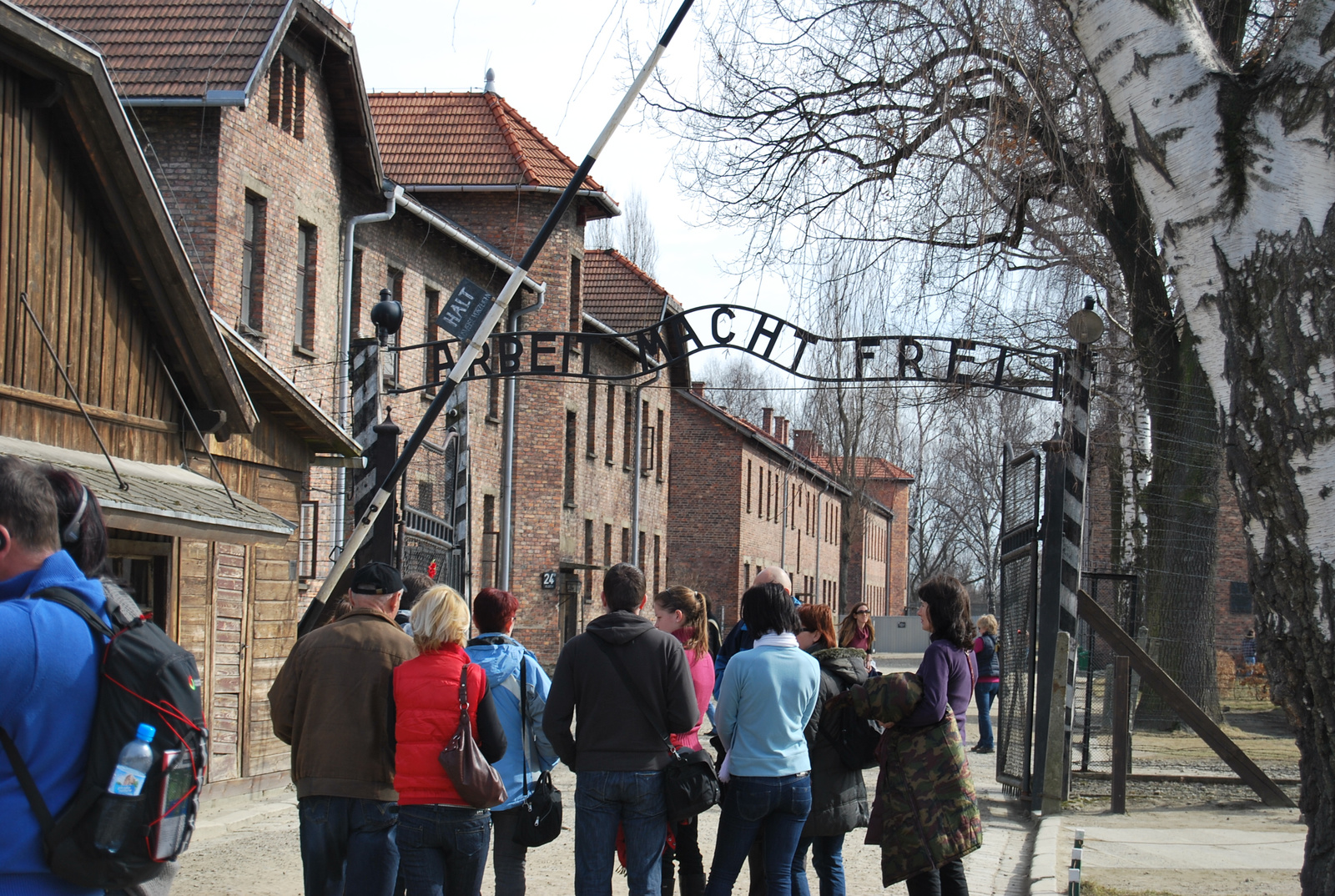 Auschwitz  0121