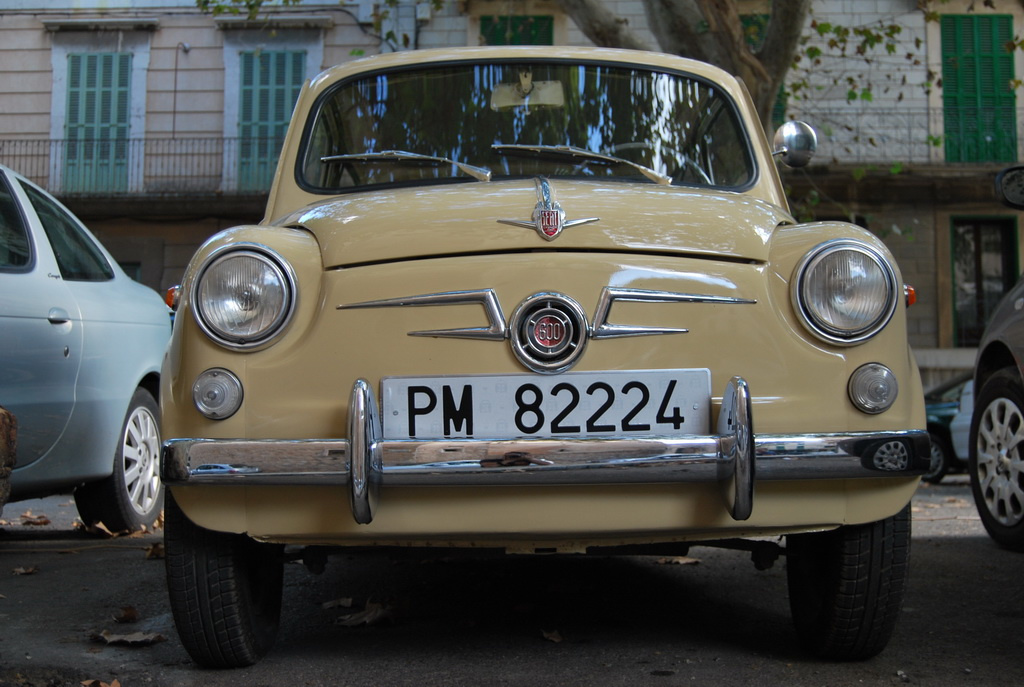 Vintage verda - Fiat 500