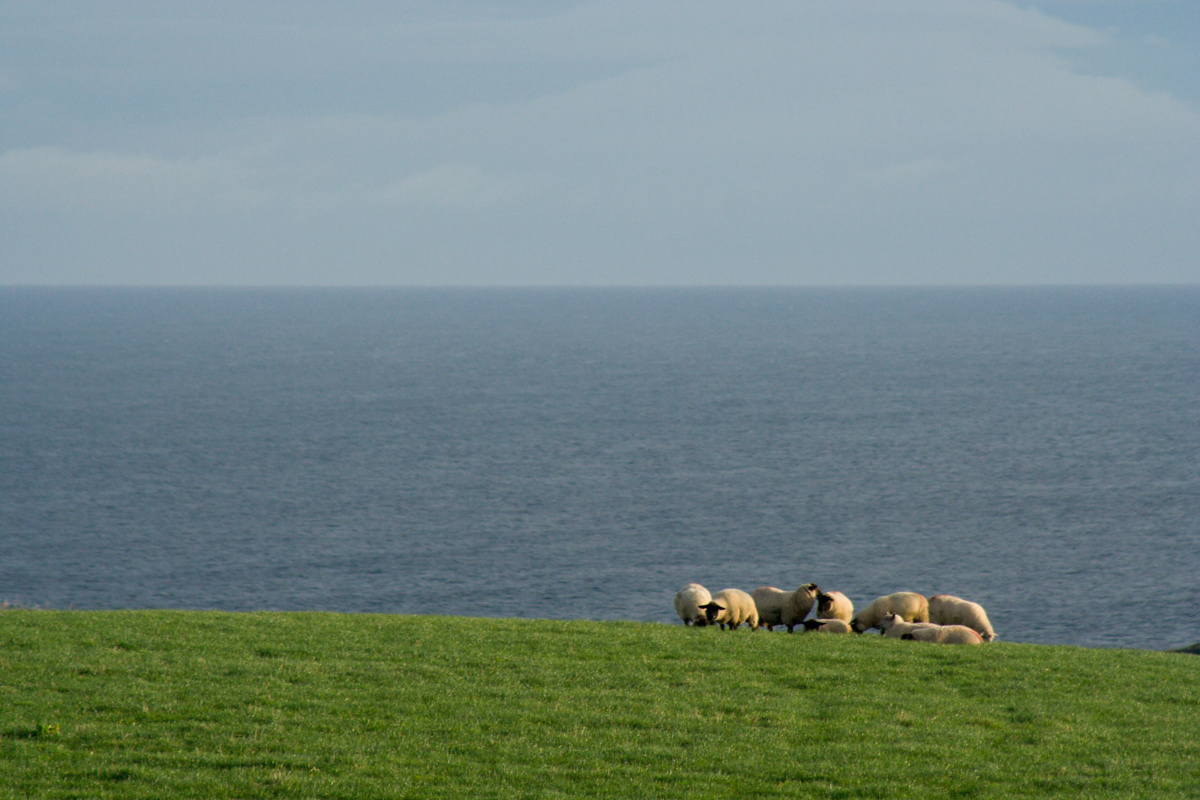 9.nap( MG 4681-1)Ballintoy