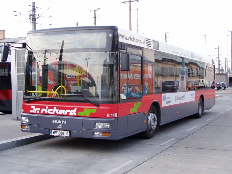 busz (34)