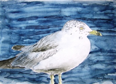 seagull bird painting small