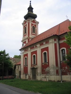 normal gorogkeleti jar mush