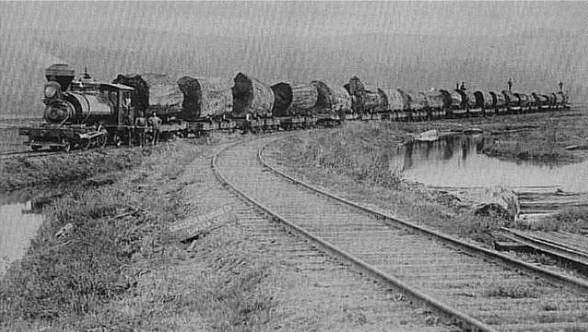 Amerikai gőzmozdony rönkszállító vonattal Aberdeen cca. 1920