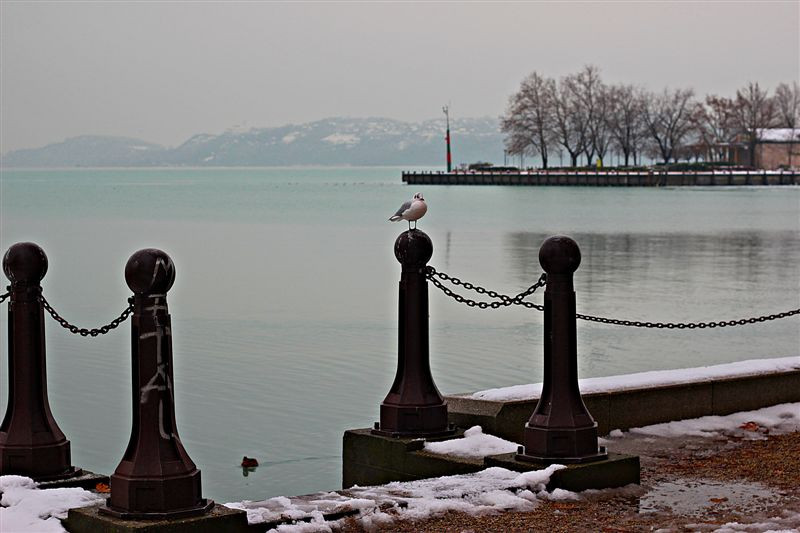 Balatonfüred tél 2013 január 058